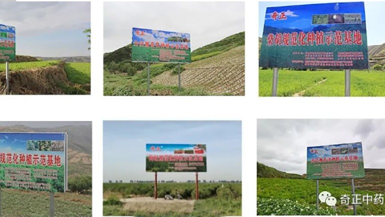隴西奇正藥材有限責任公司入選第一批國家中藥材標準化與質量評估創(chuàng)新聯(lián)盟GAP重點培育單位
