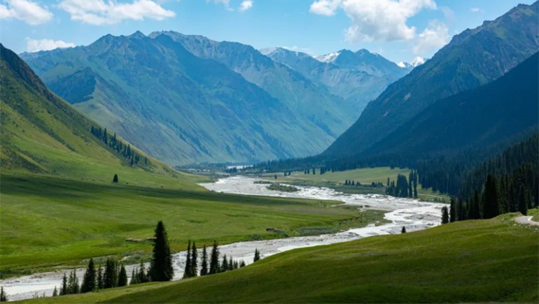 公司治理獲高度認(rèn)可！奇正藏藥入選中上協(xié)“最佳實(shí)踐案例”