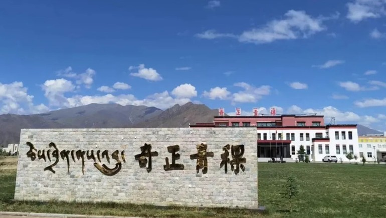 拉薩海關(guān)助力奇正青稞首批有機(jī)青稞、黑青稞出口香港